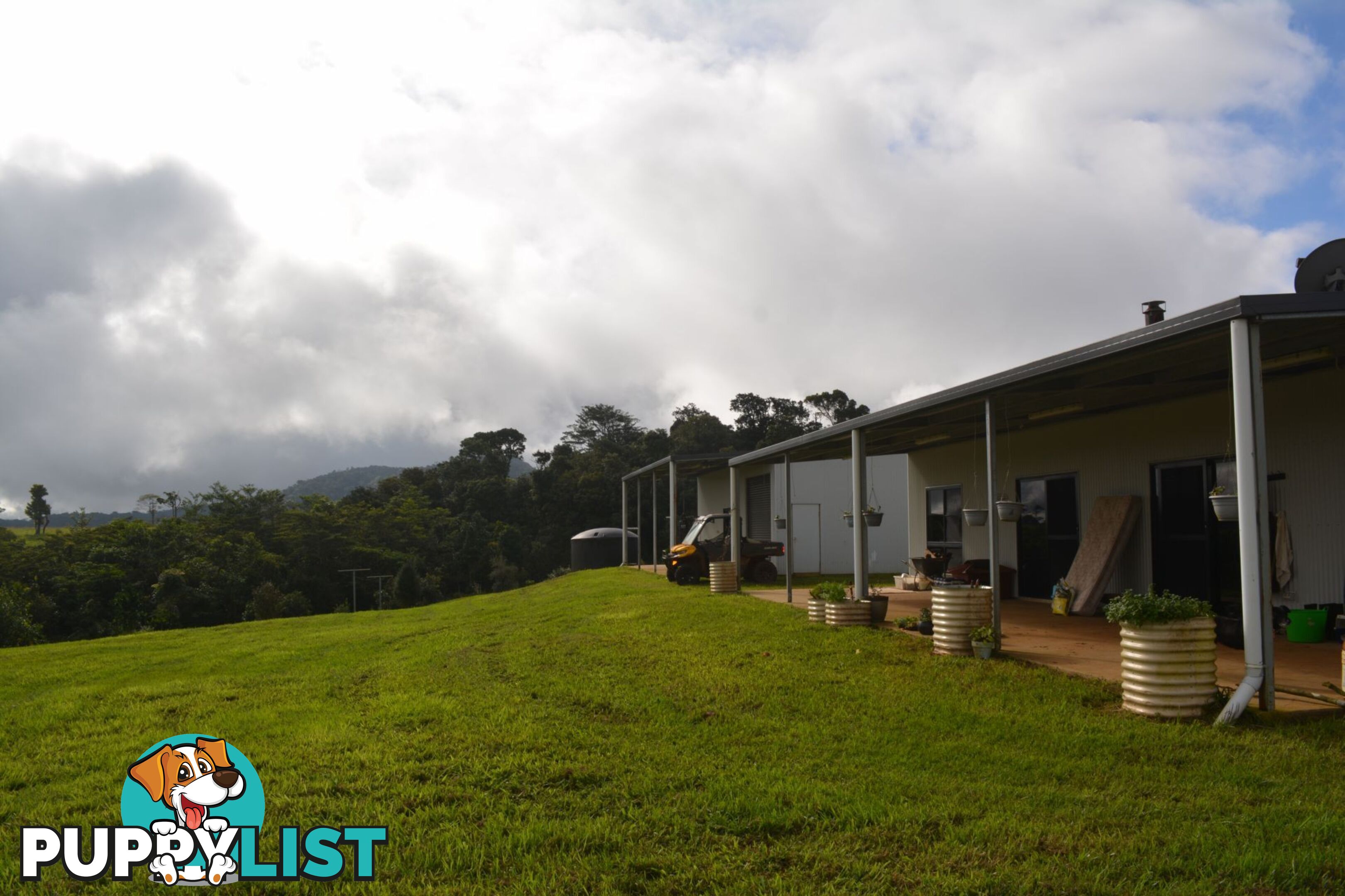 337 East Evelyn Road Millaa Millaa QLD 4886