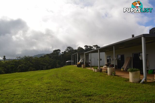 337 East Evelyn Road Millaa Millaa QLD 4886