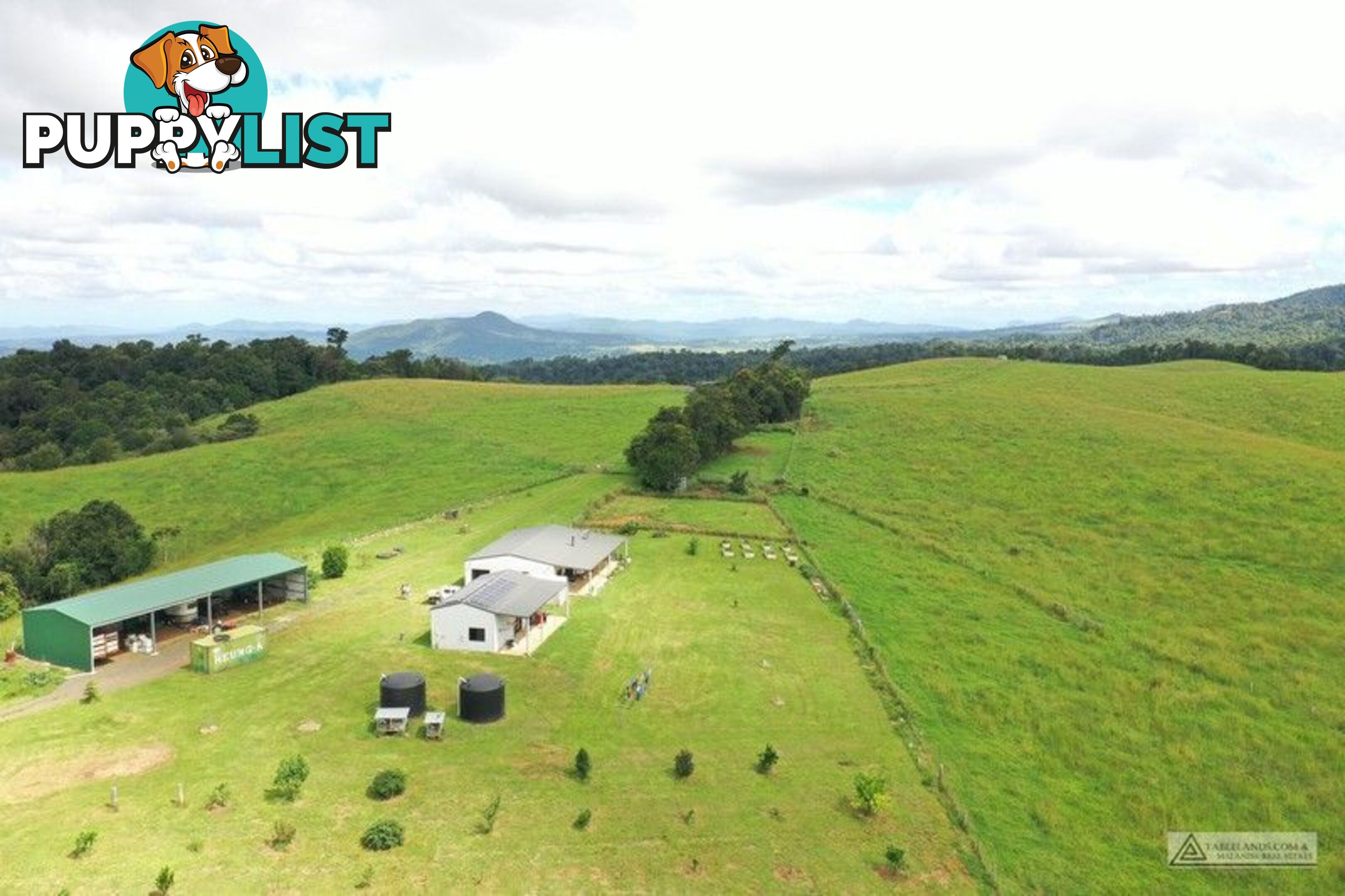 337 East Evelyn Road Millaa Millaa QLD 4886