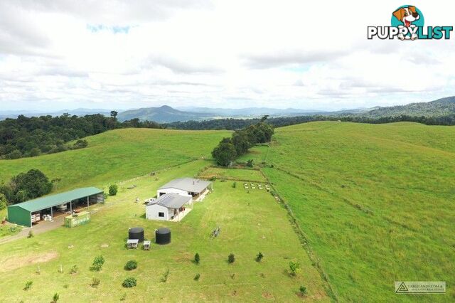 337 East Evelyn Road Millaa Millaa QLD 4886