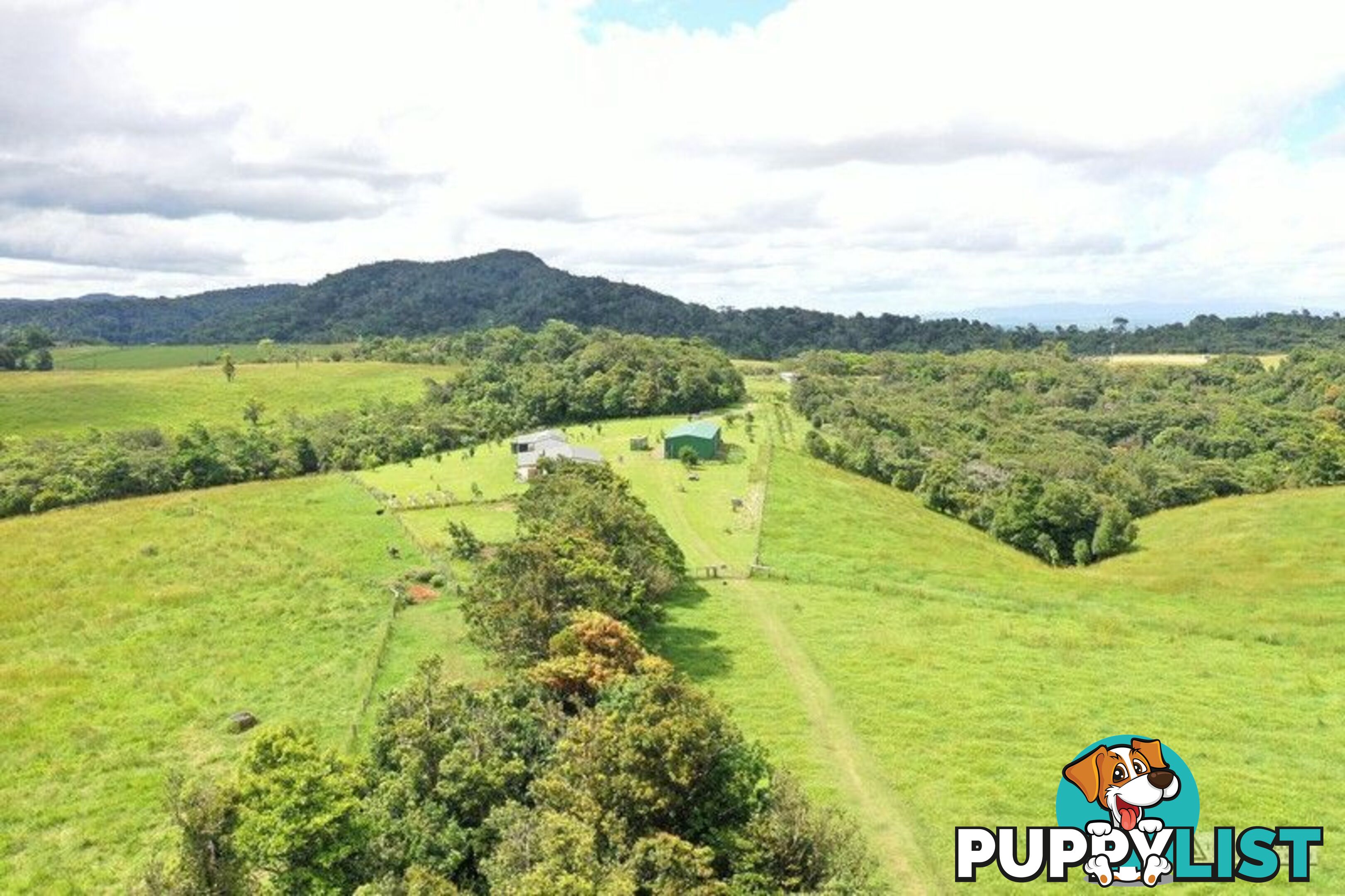 337 East Evelyn Road Millaa Millaa QLD 4886