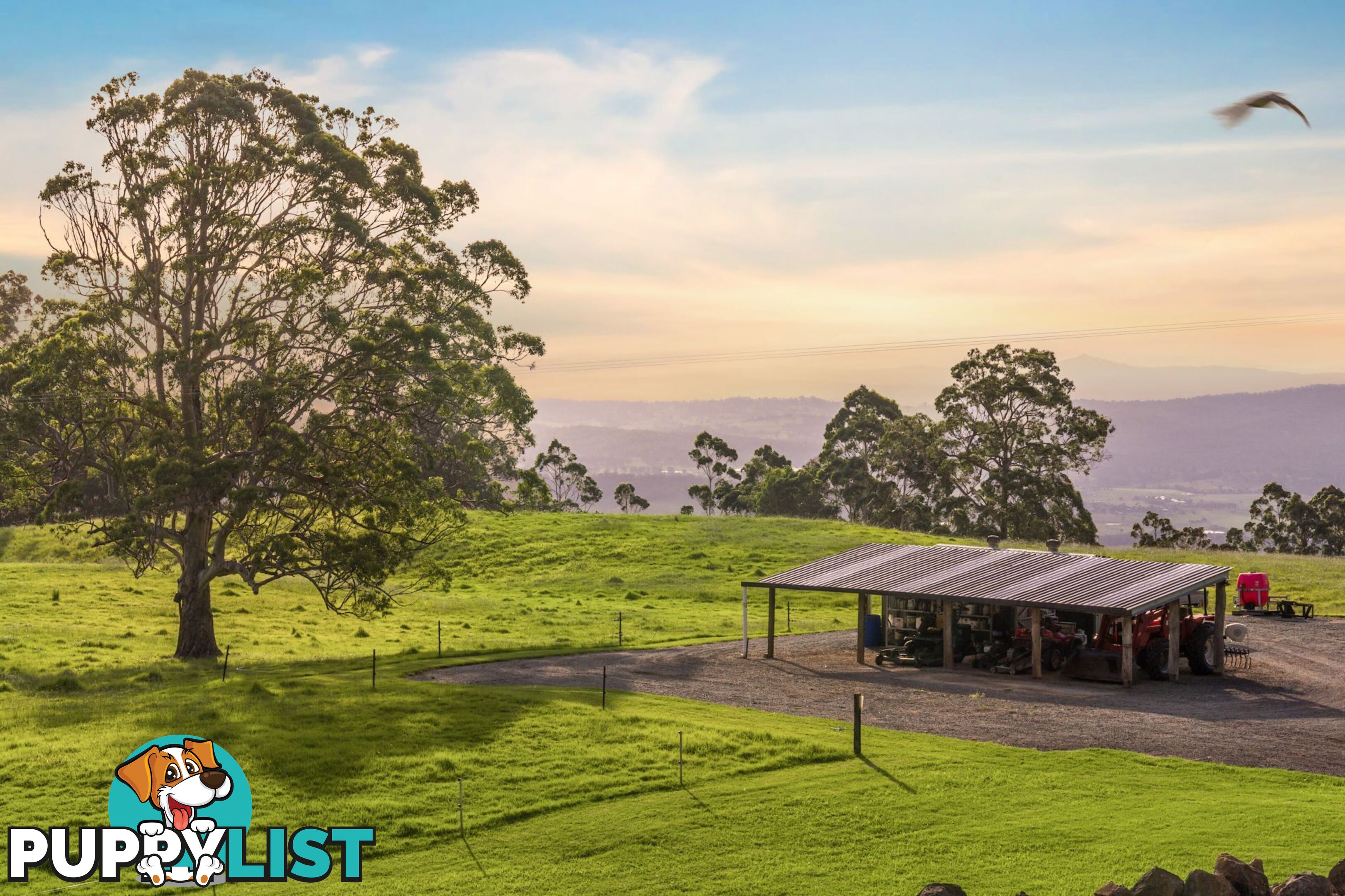 Tamborine Mountain QLD 4272