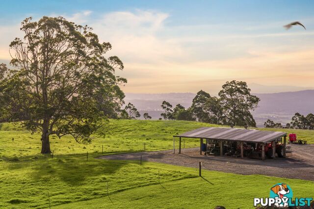 Tamborine Mountain QLD 4272