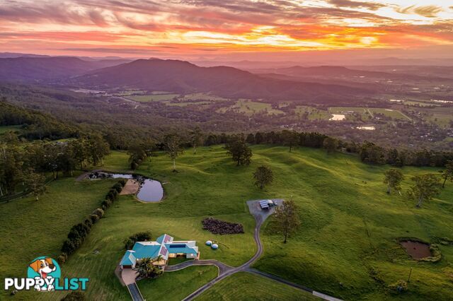 Tamborine Mountain QLD 4272