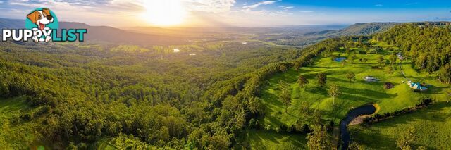 Tamborine Mountain QLD 4272