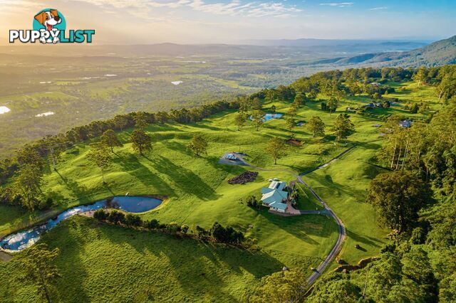 Tamborine Mountain QLD 4272