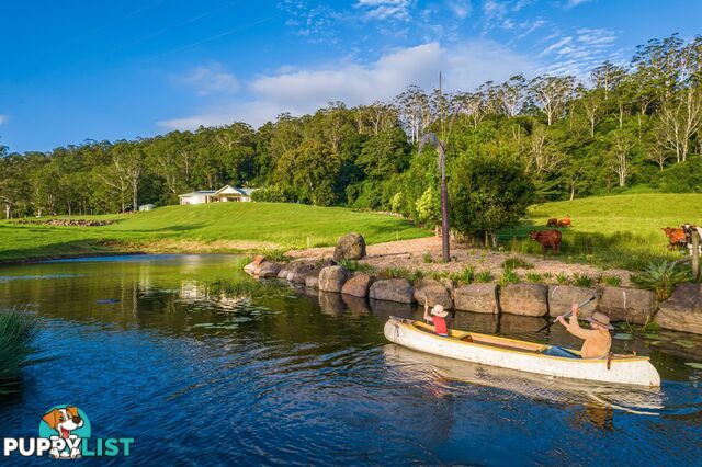 Tamborine Mountain QLD 4272