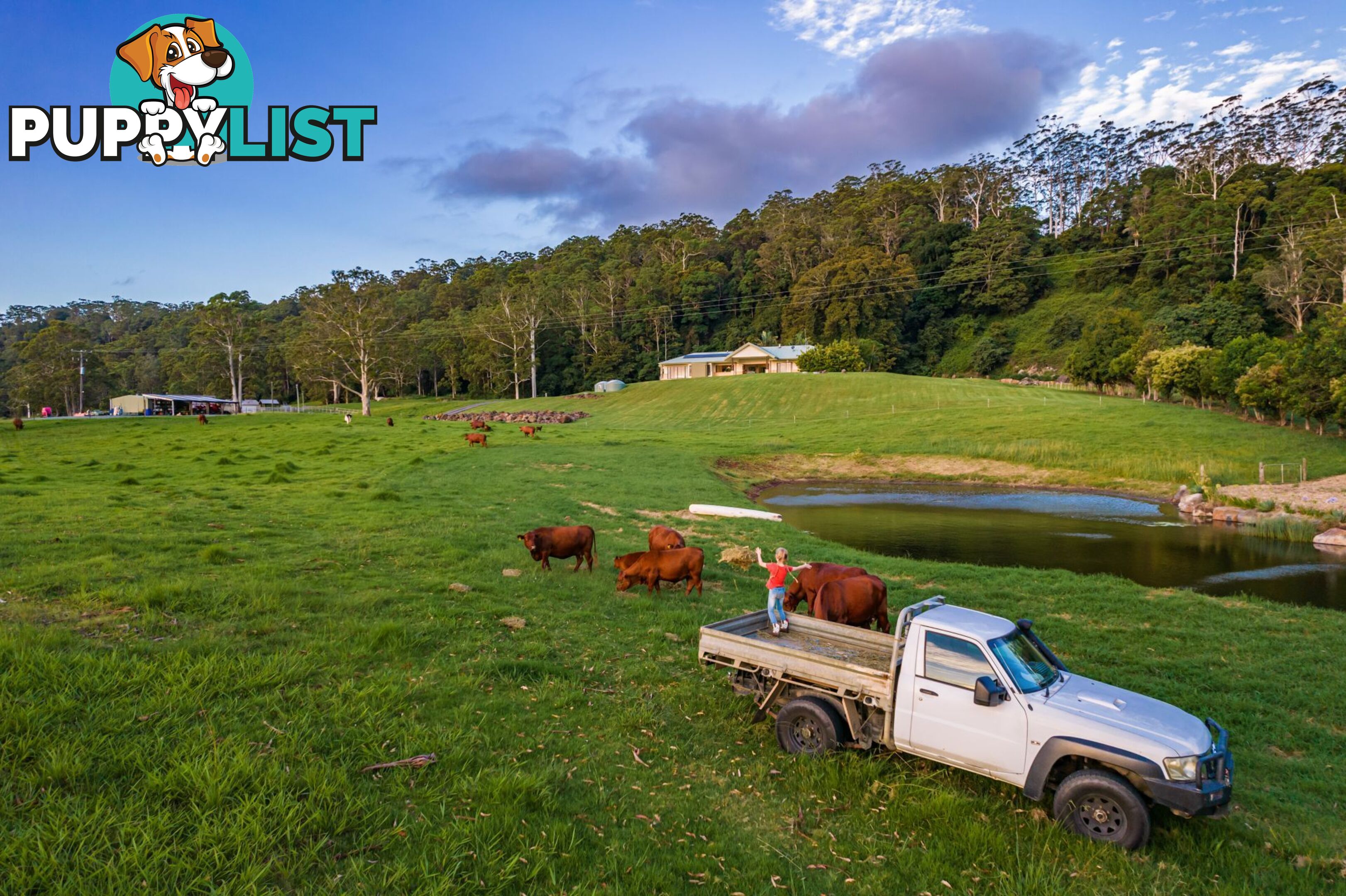 Tamborine Mountain QLD 4272