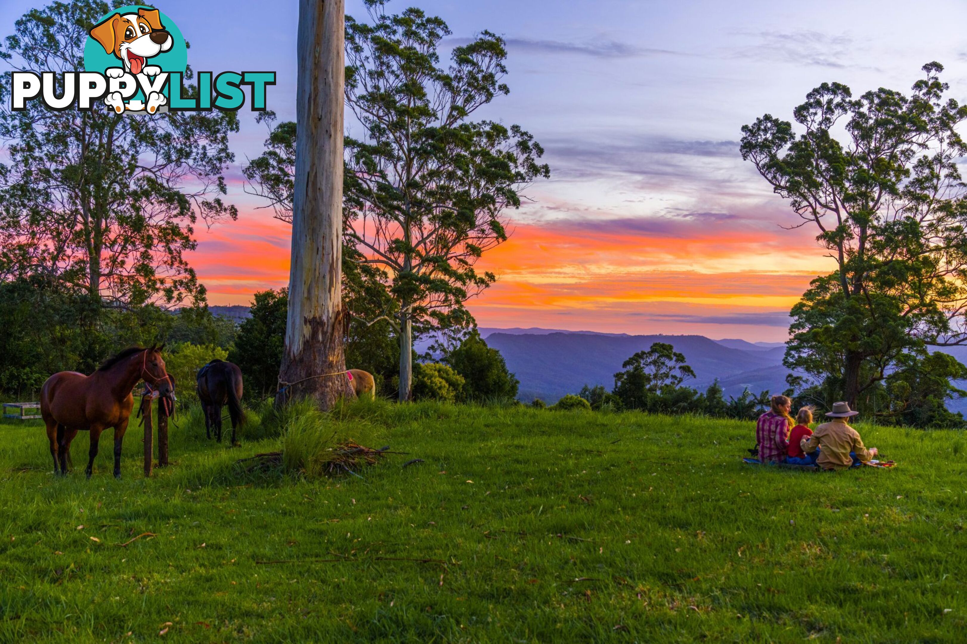 Tamborine Mountain QLD 4272