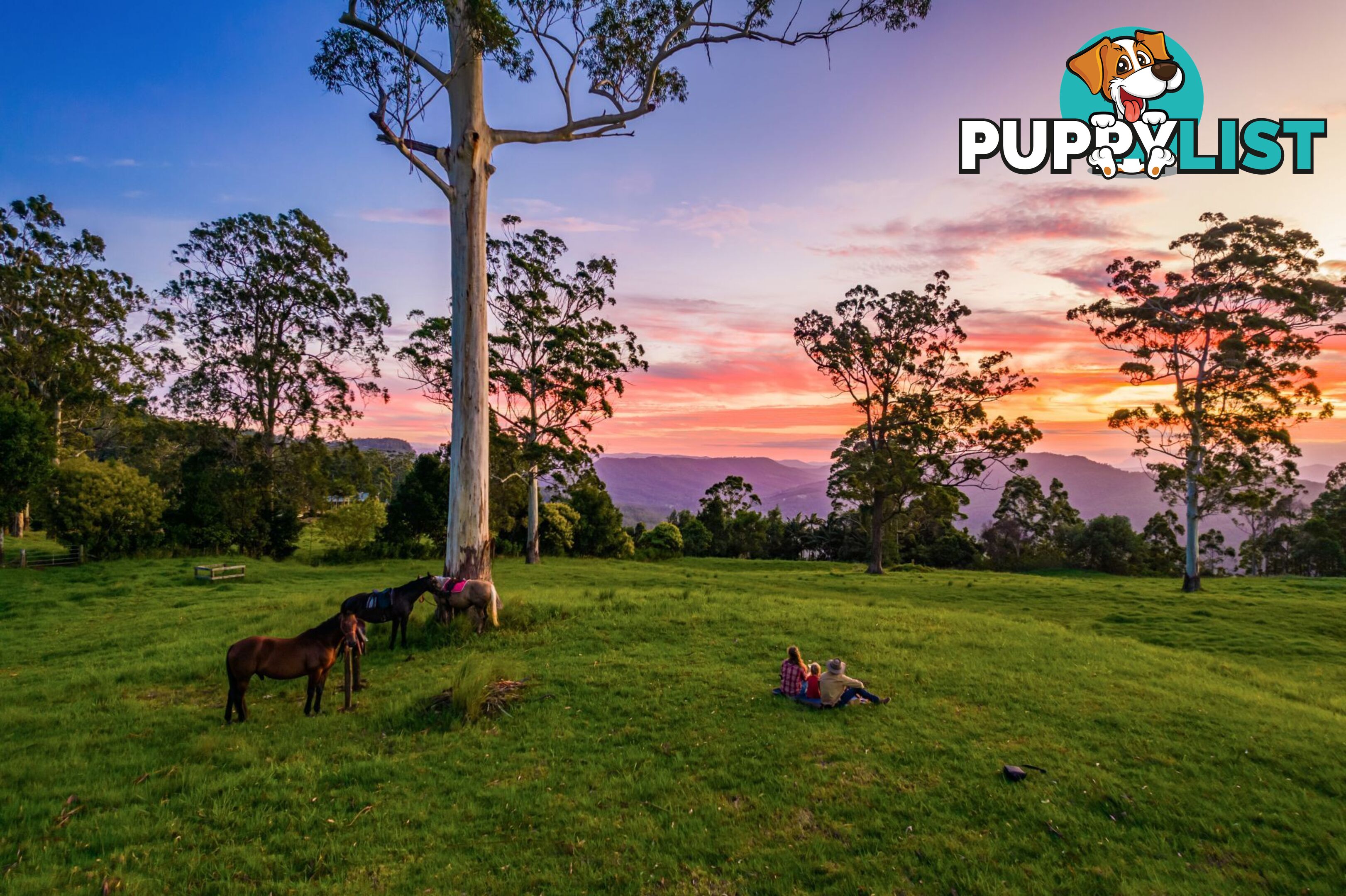 Tamborine Mountain QLD 4272