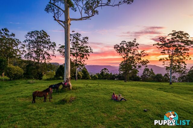 Tamborine Mountain QLD 4272