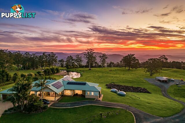 Tamborine Mountain QLD 4272