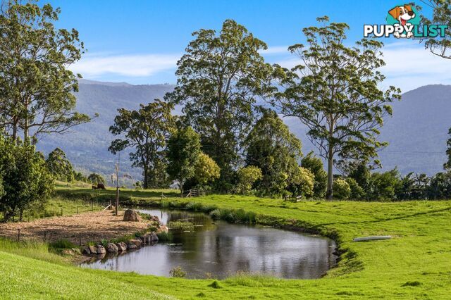 Tamborine Mountain QLD 4272