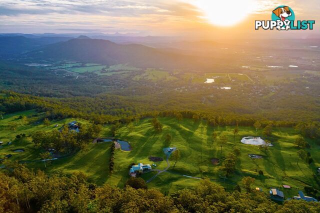 Tamborine Mountain QLD 4272