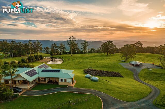 Tamborine Mountain QLD 4272