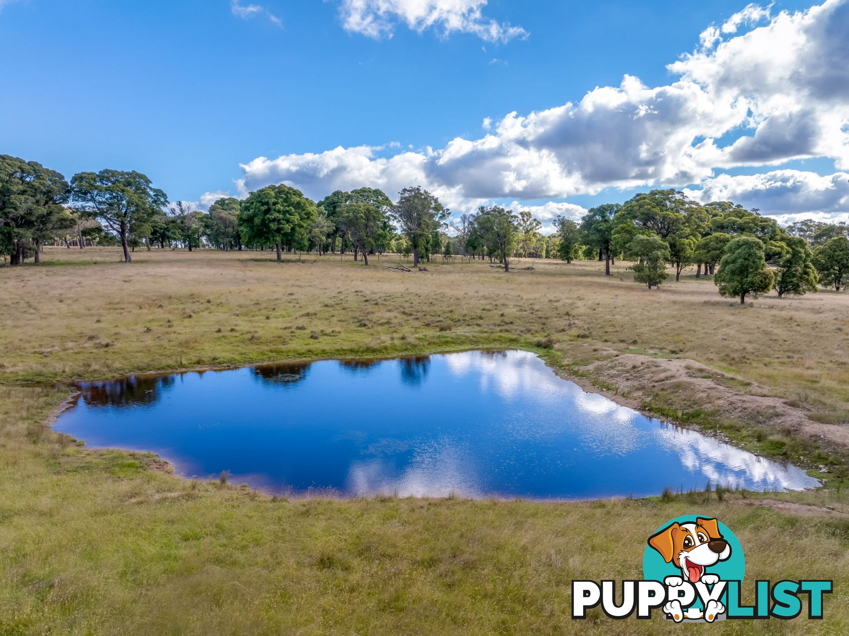 339 Scabben Flat Road Taralga NSW 2580