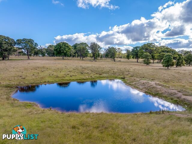 339 Scabben Flat Road Taralga NSW 2580