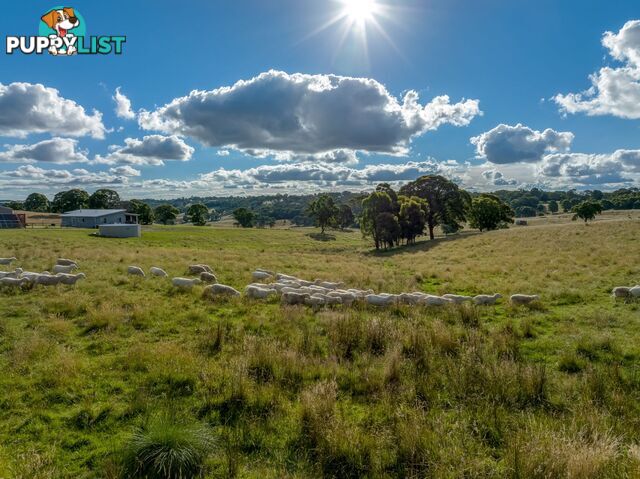 339 Scabben Flat Road Taralga NSW 2580