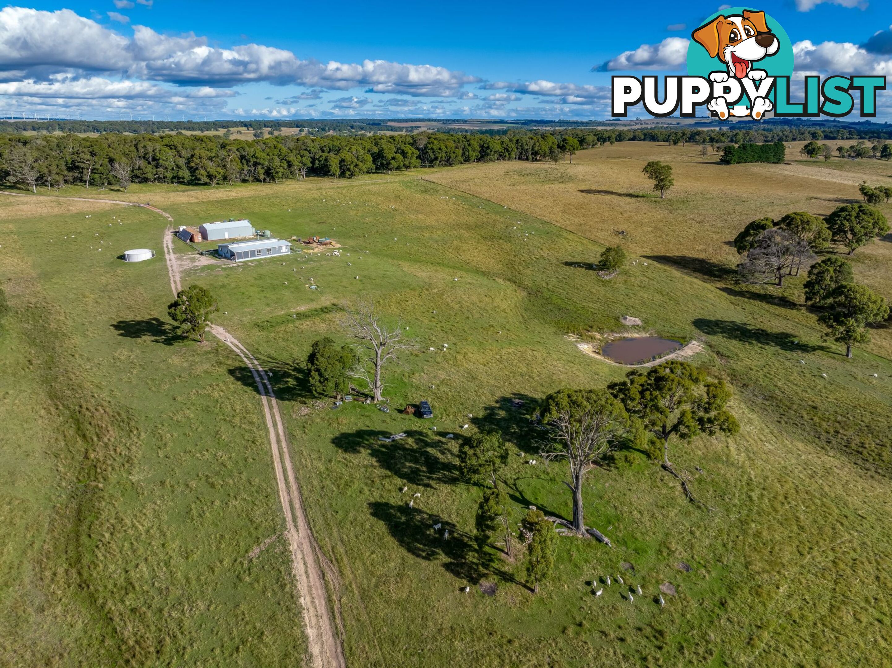 339 Scabben Flat Road Taralga NSW 2580