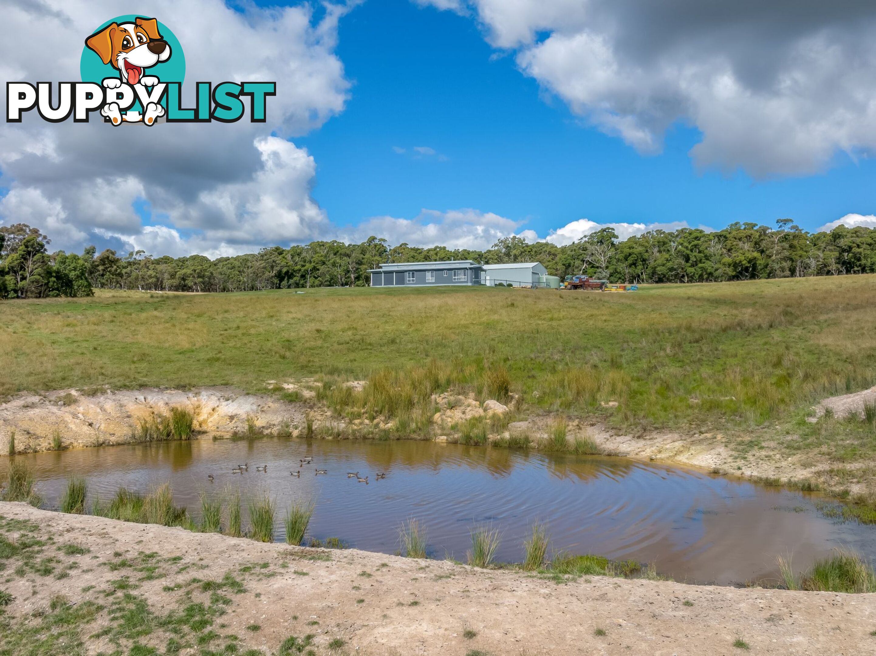 339 Scabben Flat Road Taralga NSW 2580