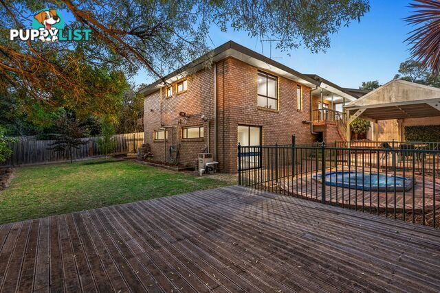 13 Shute Avenue Berwick VIC 3806