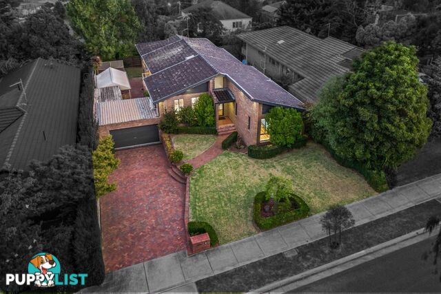 13 Shute Avenue Berwick VIC 3806