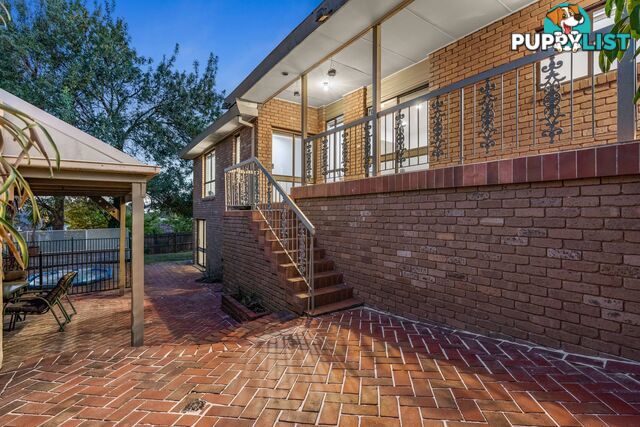 13 Shute Avenue Berwick VIC 3806