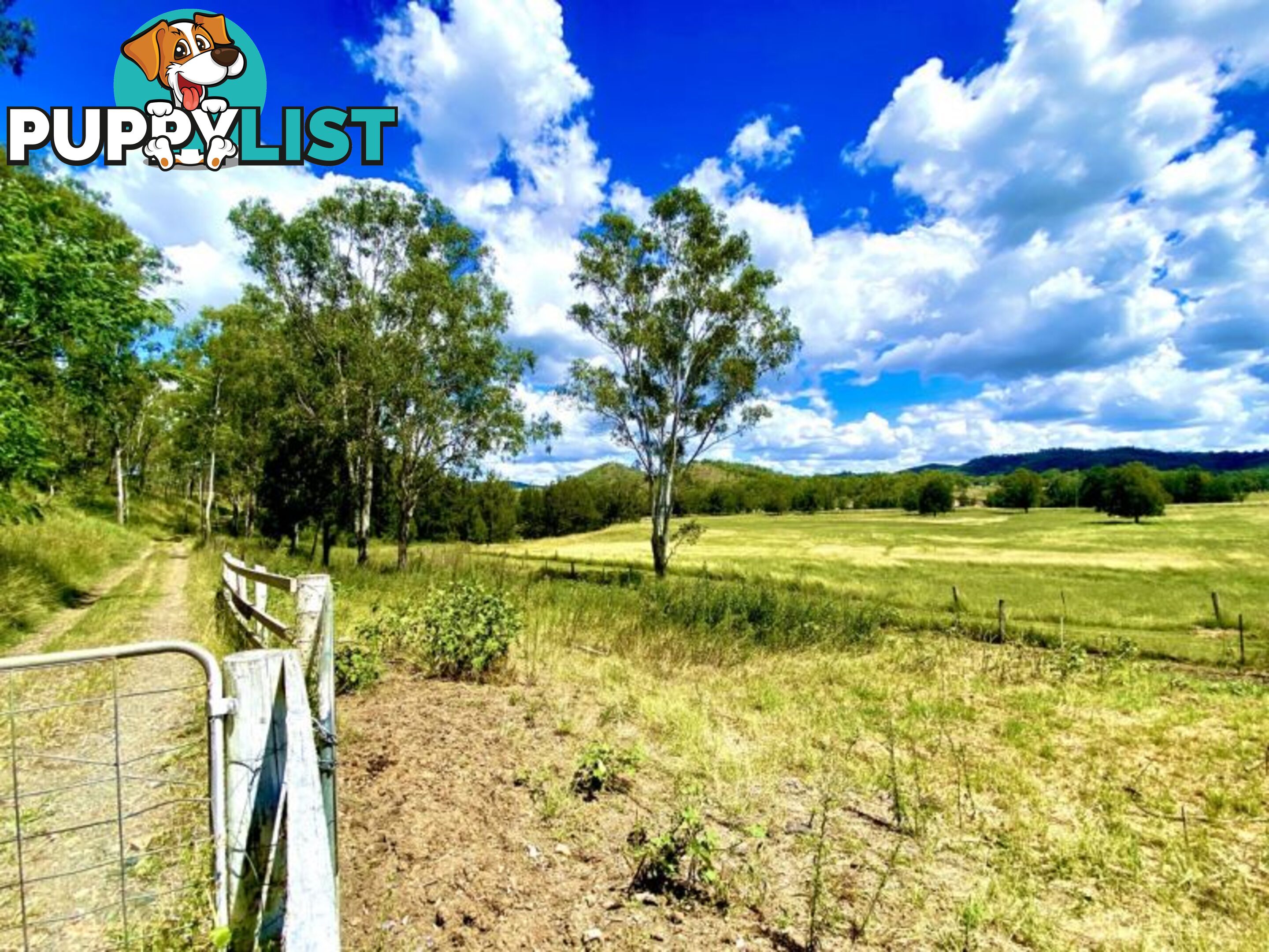 185 Spencer Road Kilkivan QLD 4600