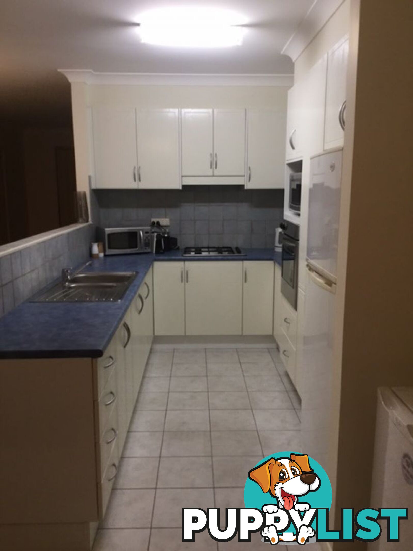 Unit 2 8 Montague Street Fairy Meadow NSW 2519