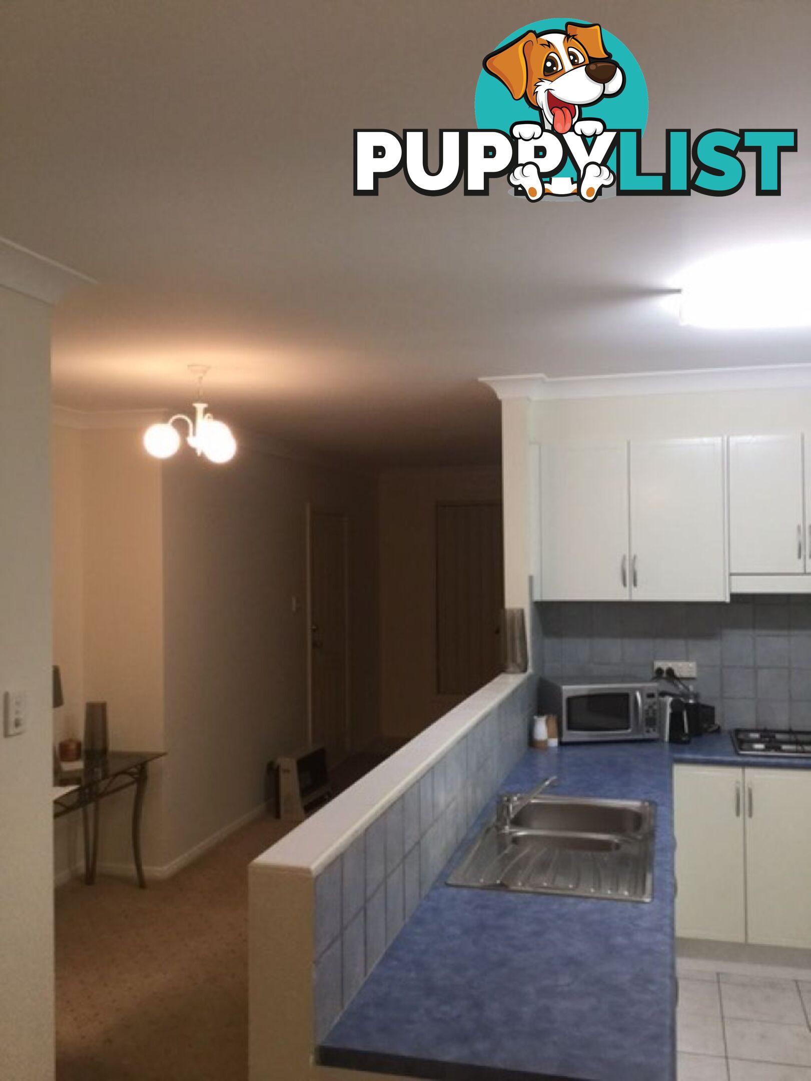 Unit 2 8 Montague Street Fairy Meadow NSW 2519