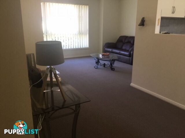 Unit 2 8 Montague Street Fairy Meadow NSW 2519