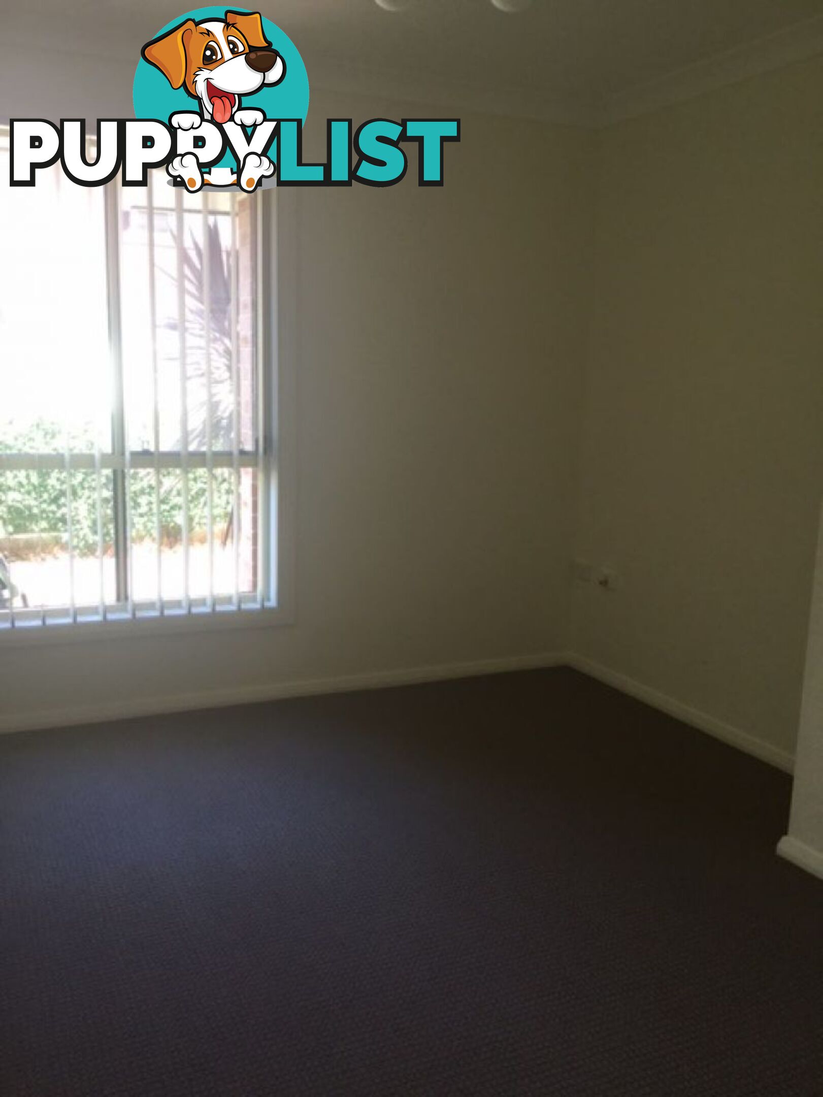 Unit 2 8 Montague Street Fairy Meadow NSW 2519