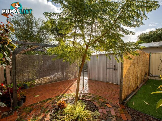 16 Galyung Road Carey Park WA 6230