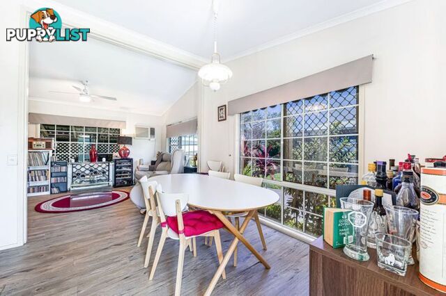 195 1 Diura St Maroochydore QLD 4558