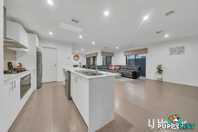 53 Datura Avenue CRANBOURNE NORTH VIC 3977