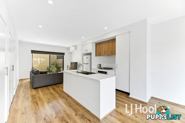 14 Tanzanite Court BERWICK VIC 3806