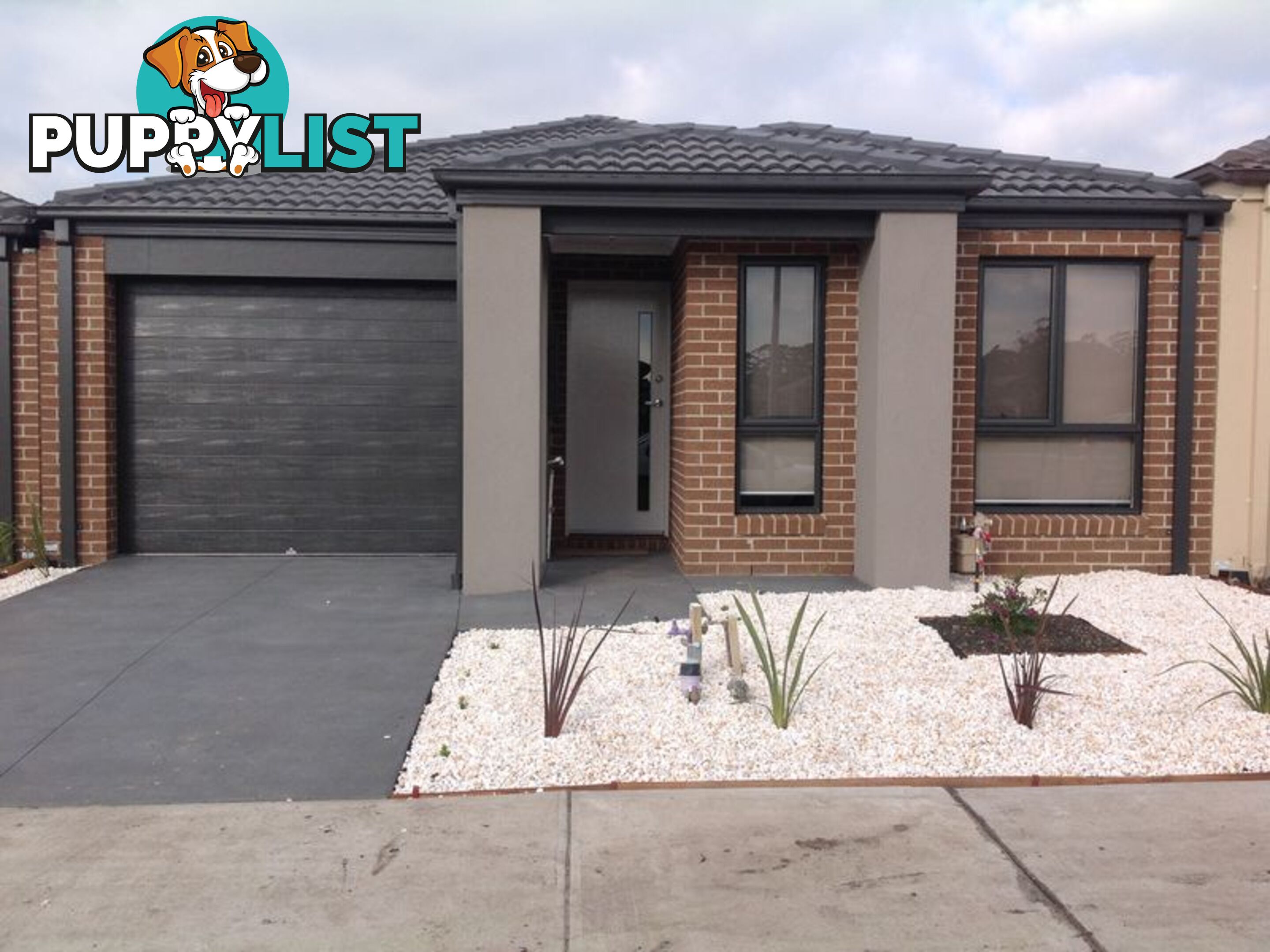8 Canmore Street CRANBOURNE VIC 3977