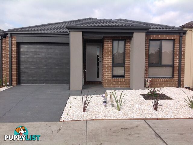 8 Canmore Street CRANBOURNE VIC 3977