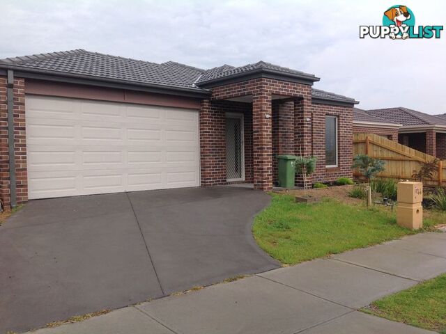 44 Banjo Circuit LYNBROOK VIC 3975