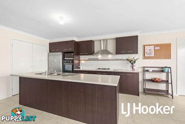 11 Northumbria Street CRANBOURNE EAST VIC 3977