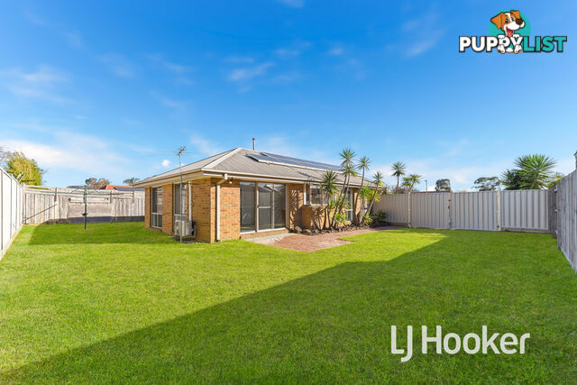 8 Cumquat Court CRANBOURNE NORTH VIC 3977
