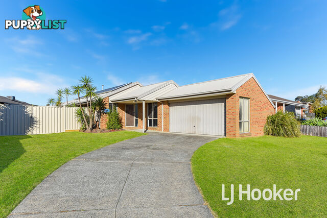 8 Cumquat Court CRANBOURNE NORTH VIC 3977
