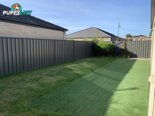 6 Mullein Bend CRANBOURNE VIC 3977