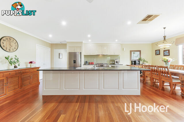 22 Balladonia Gum Circuit LYNDHURST VIC 3975