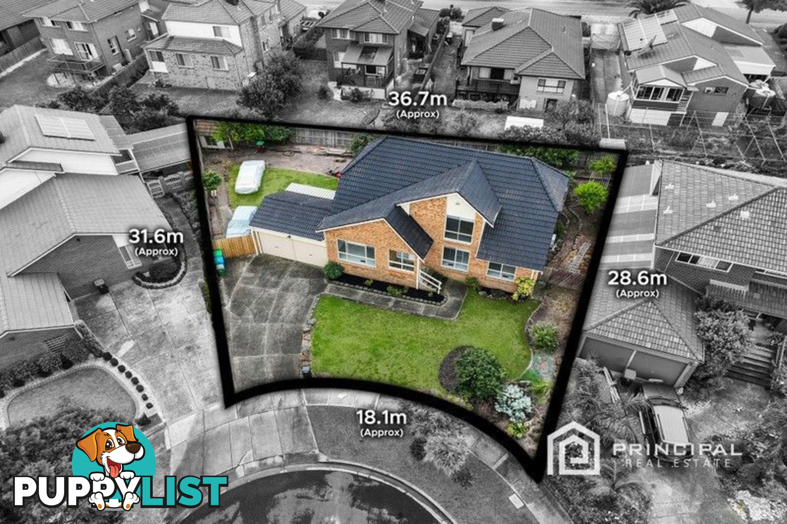 7 Garner Court ENDEAVOUR HILLS VIC 3802