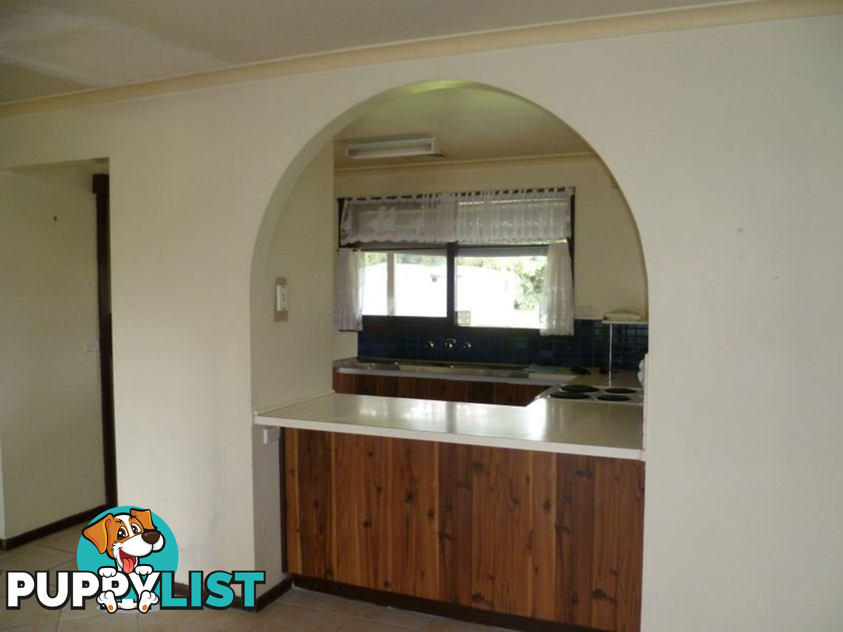 13 Terry Street PEARCEDALE VIC 3912