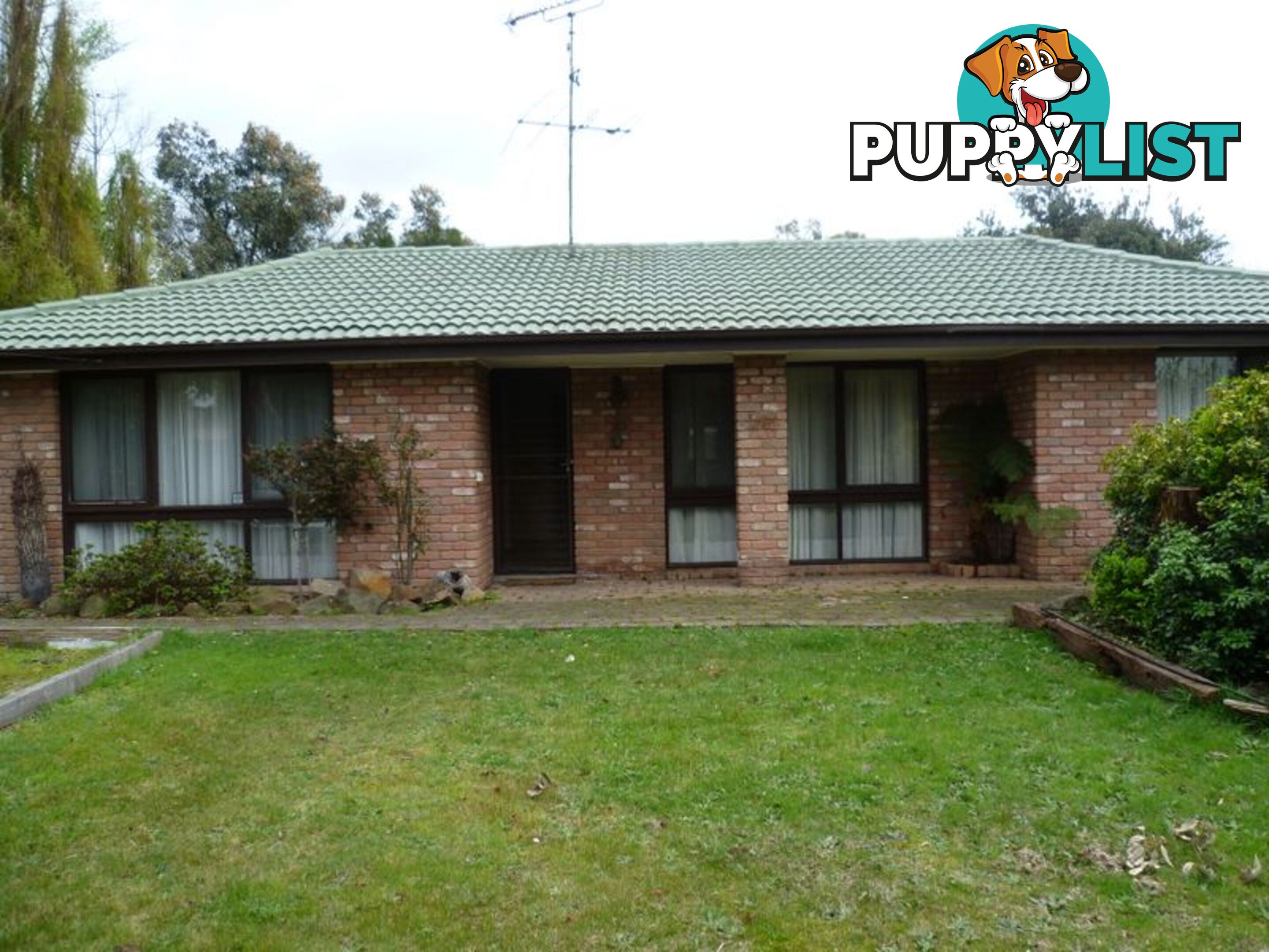 13 Terry Street PEARCEDALE VIC 3912