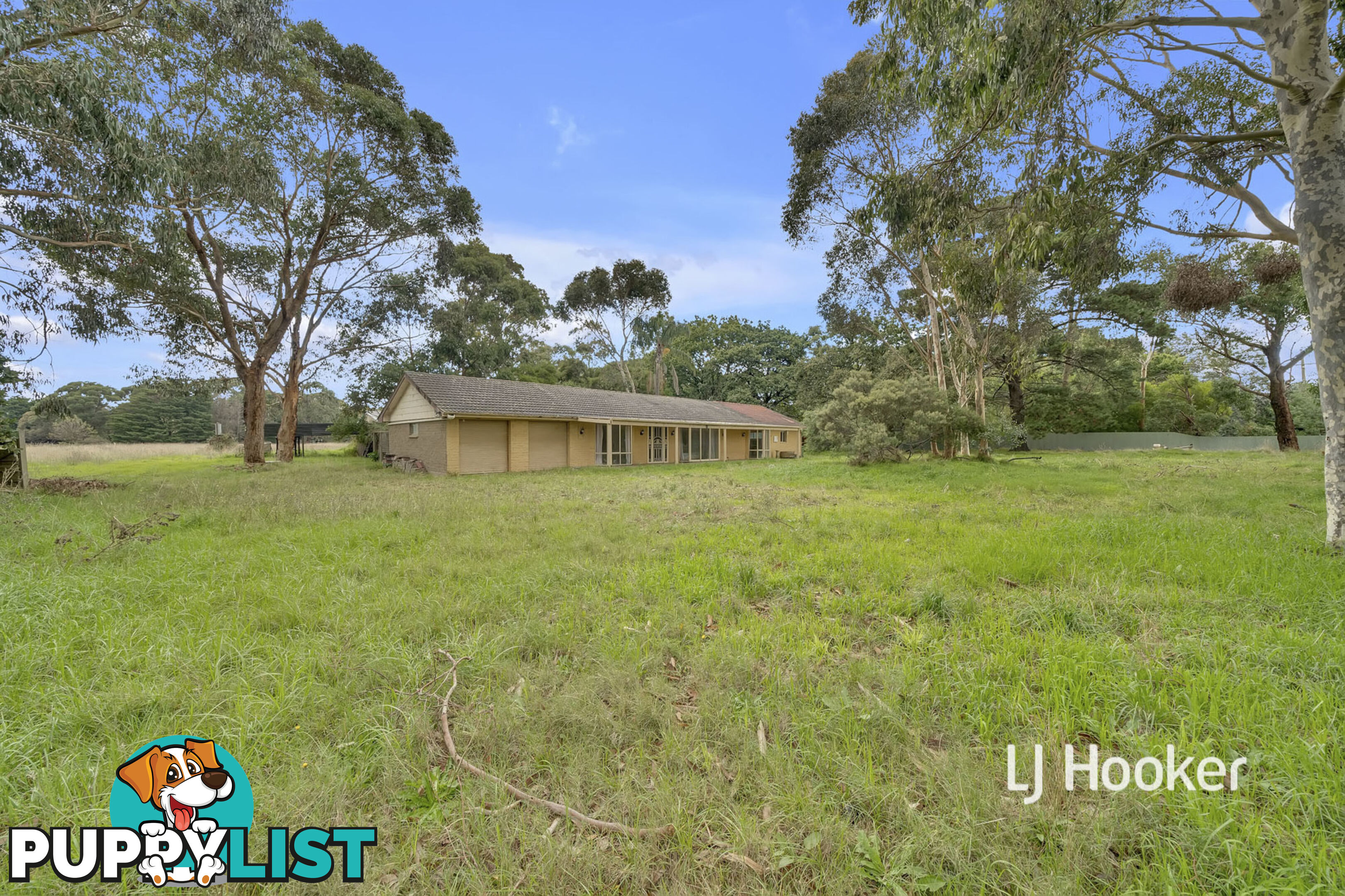 14 Mayfield Road CRANBOURNE EAST VIC 3977