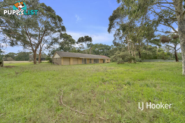 14 Mayfield Road CRANBOURNE EAST VIC 3977