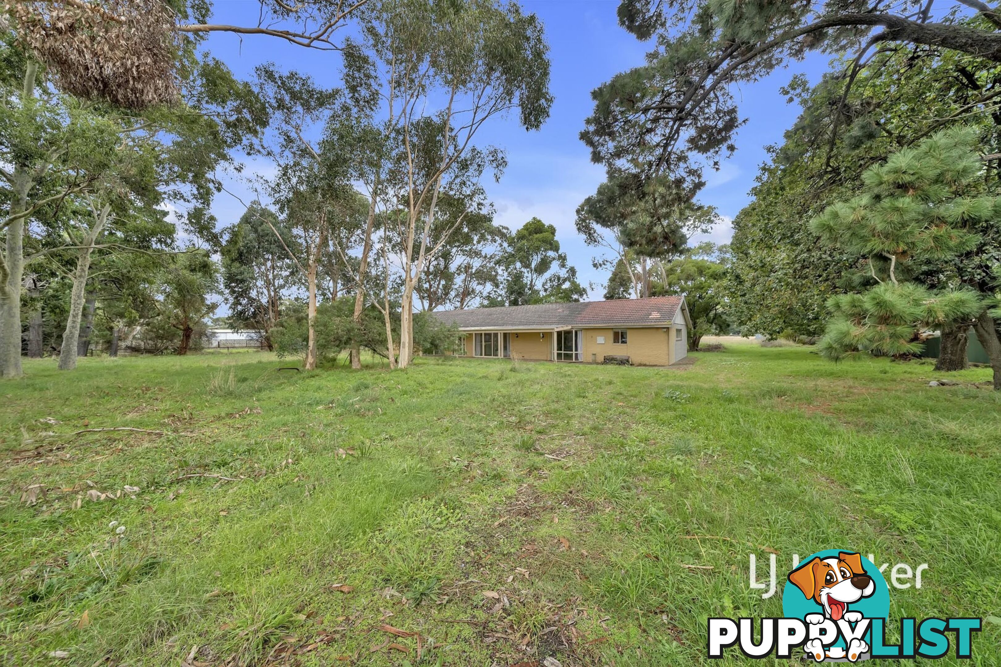 14 Mayfield Road CRANBOURNE EAST VIC 3977